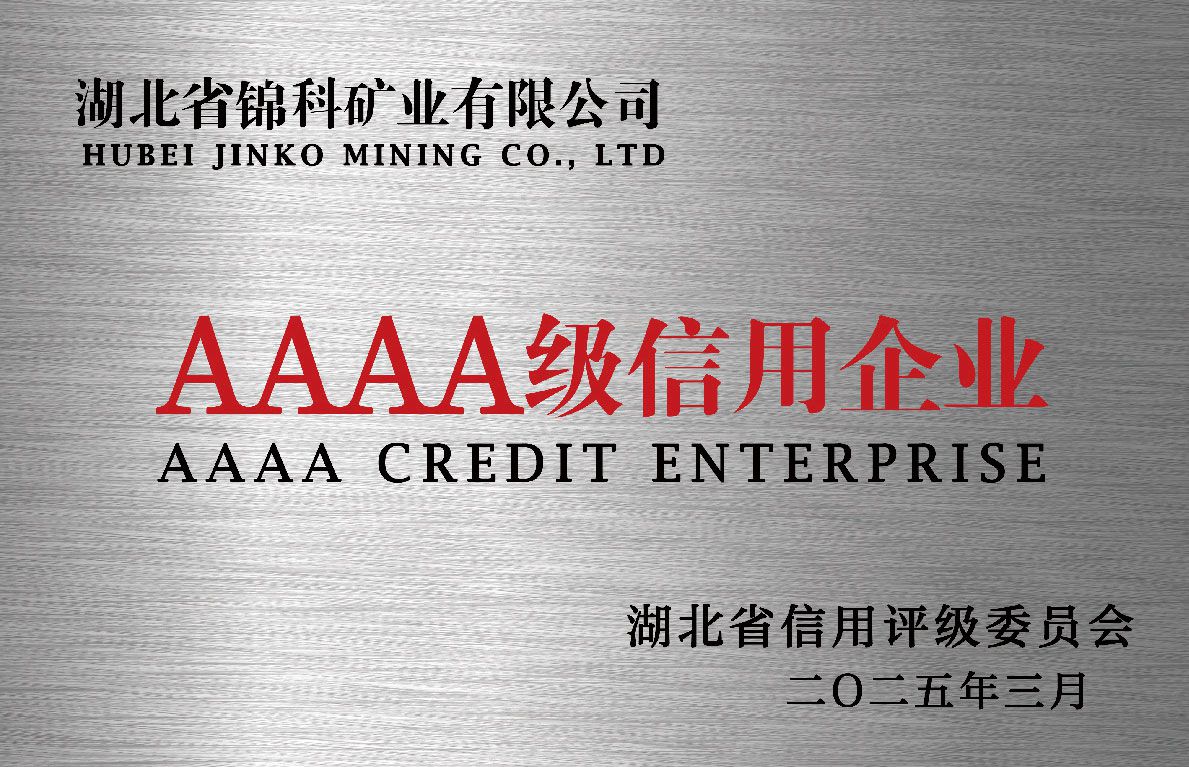 AAAA CREDIT ENTERPRISE