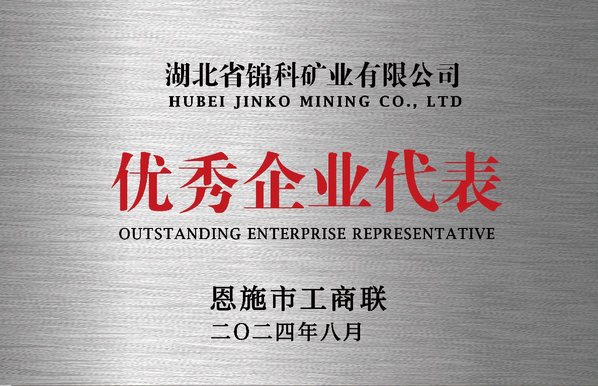 OUTSTANDING ENTERPRISE REPRESENTATIVE