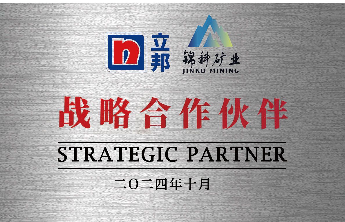 STRATEGIC PARTNER